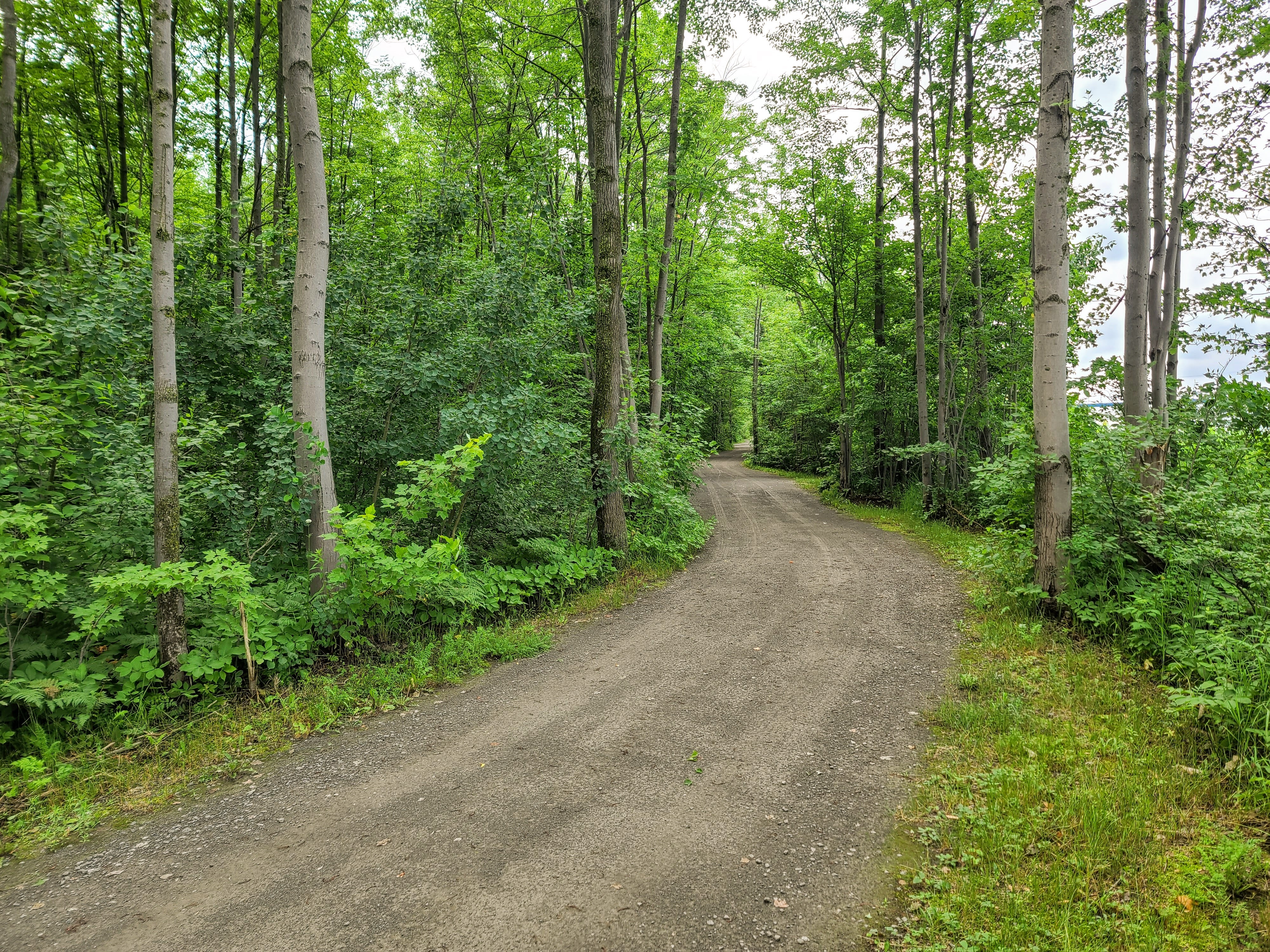 Piste cyclable terrebonne
